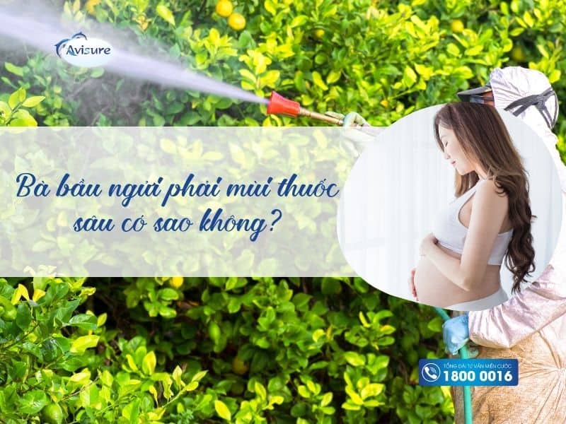 Bà bầu ngửi phải mùi thuốc sâu có sao không?